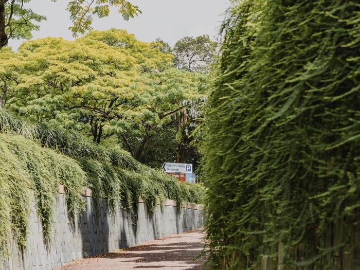 Công Viên Fort Canning, điểm sống ảo độc đáo nhất trên Đảo Sư Tử 2
