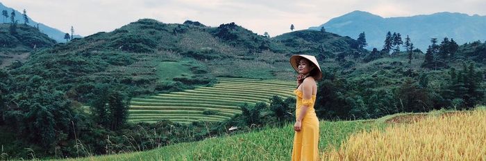 Đề xuất kế hoạch ngắm ruộng lúa ở Sapa, với vẻ đẹp rực rỡ, đơn giản nhưng ấn tượng