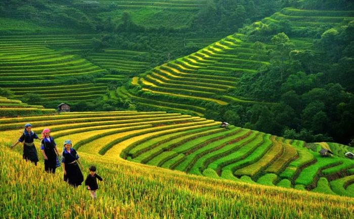 Mê mải trước vẻ đẹp của bốn mùa tại Sapa