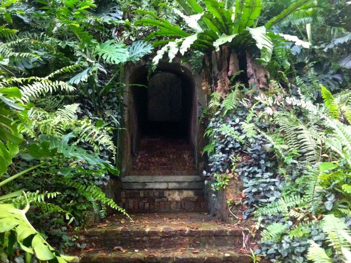 Công Viên Fort Canning, điểm sống ảo độc đáo nhất trên Đảo Sư Tử 7