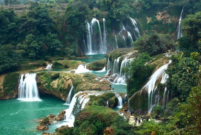 Lung linh trước vẻ đẹp hiếm thấy của Hang Tiên Sapa.