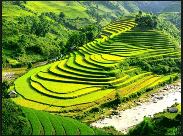 Kế hoạch ngắm ruộng lúa ở Sapa, với vẻ đẹp tuyệt vời, đơn giản nhưng ấn tượng