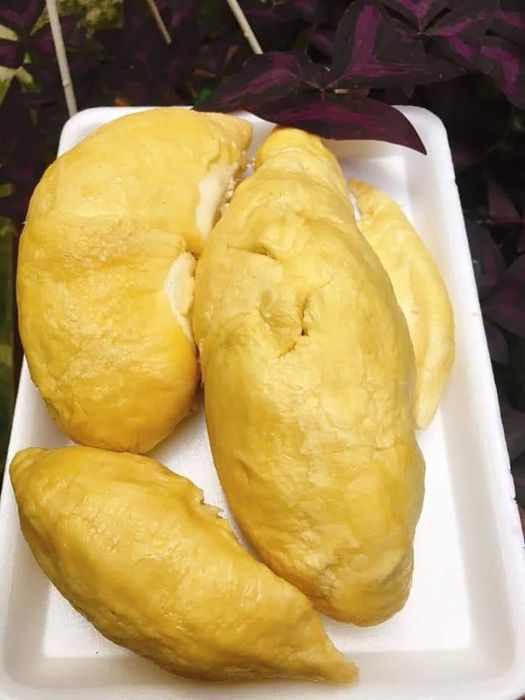 Hương vị đặc trưng của sầu riêng Ngũ Hiệp khiến lòng người thổn thức