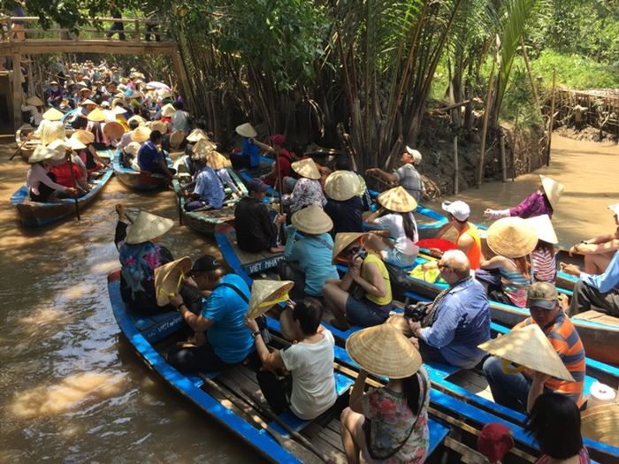 Khám phá vẻ bình yên của Cồn Quy Tiền Giang giữa dòng sông nước