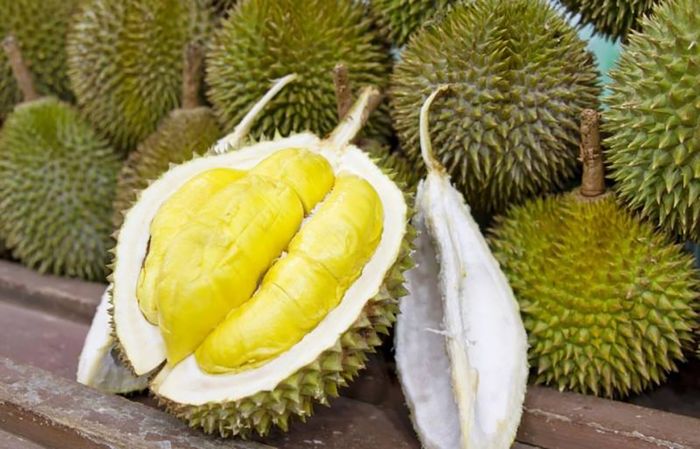 Hương vị đặc trưng của sầu riêng Ngũ Hiệp khiến lòng người xao xuyến