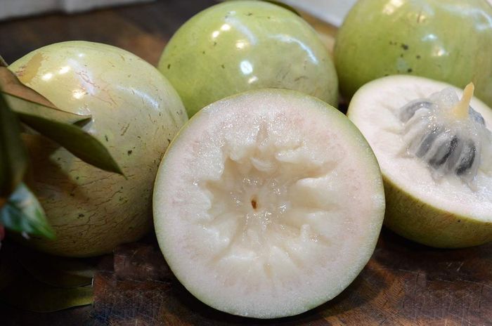 Khám phá hương vị đặc trưng của Vú sữa Lò Rèn Vĩnh Kim ở Tiền Giang
