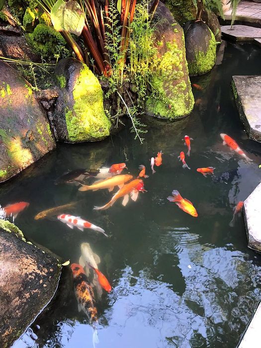 Top những quán cà phê đẹp nhất ở Tây Ninh, điểm sống ảo thả ga của giới trẻ