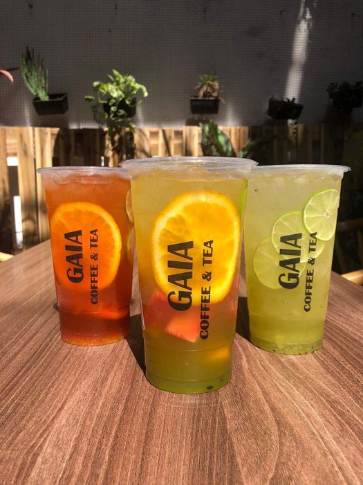 Tới GAIA Coffee & Tea để thưởng thức hương vị trà sữa đậm đà 9