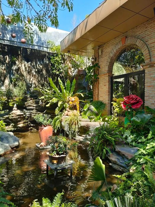 Top những quán cà phê đẹp nhất ở Tây Ninh, điểm sống ảo thả ga của giới trẻ