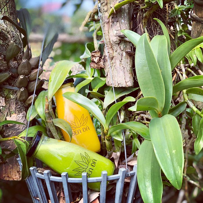 Top những quán cà phê đẹp nhất ở Tây Ninh, điểm sống ảo thả ga của giới trẻ