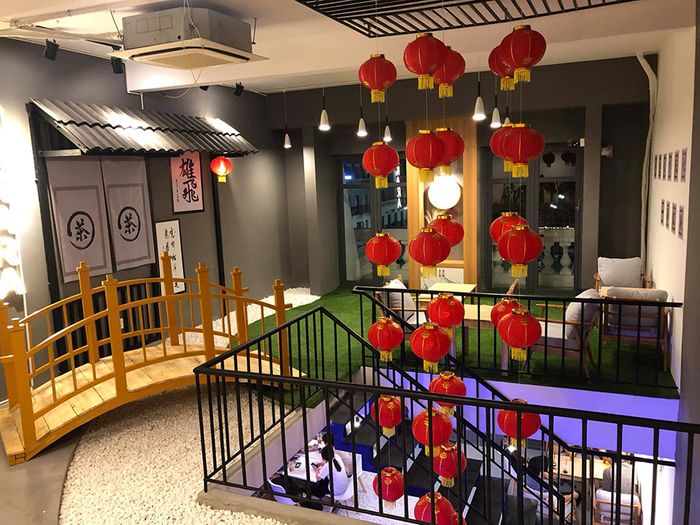 Top những quán cà phê đẹp nhất ở Tây Ninh, điểm sống ảo thả ga của giới trẻ