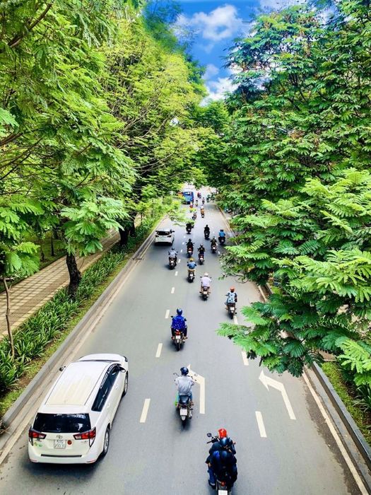 Công viên Hoàng Văn Thụ, điểm đến xanh giữa lòng Sài Gòn 4