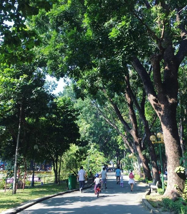 Công viên Hoàng Văn Thụ, điểm đến xanh giữa lòng Sài Gòn 5