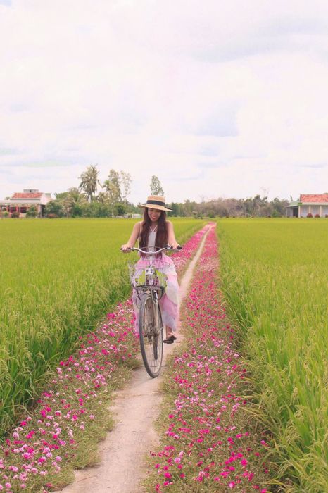 Khám phá Con đường hoa mười giờ ở Gò Công - Điểm check-in tuyệt vời 7