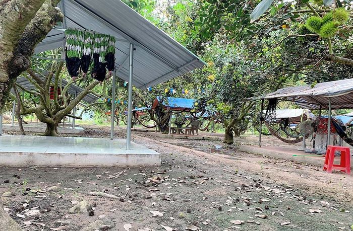 Ghi chú các kinh nghiệm thú vị khi thăm vườn trái cây Út Phương
