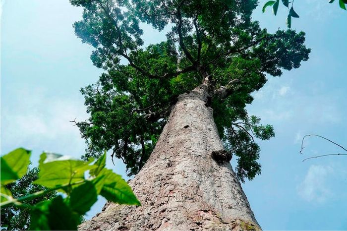 Bến En, điểm du lịch nổi tiếng với biệt danh 'Hạ Long trên đất liền Thanh Hóa' 4