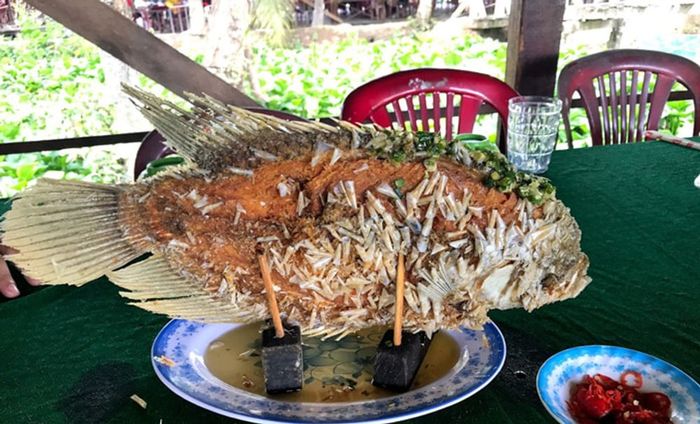 Khám phá không gian yên bình của Cồn Quy Tiền Giang giữa dòng sông nước 8