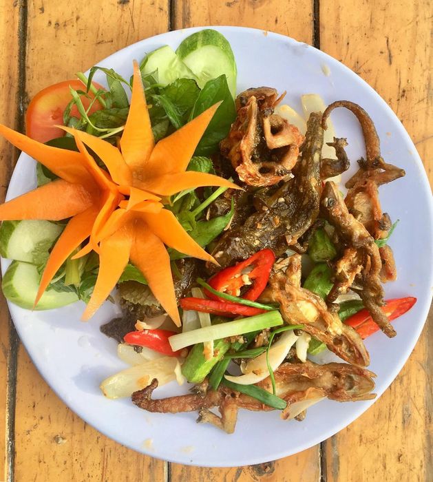 Thằn lằn núi bà Đen, món đặc sản quý hiếm của vùng Tây Ninh 6