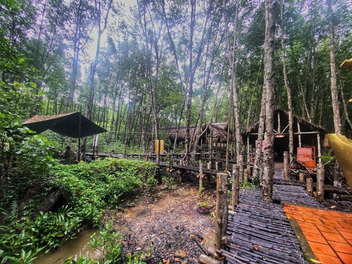 10 điểm đến du lịch tại Cần Giờ khiến những người đam mê khám phá thích thú