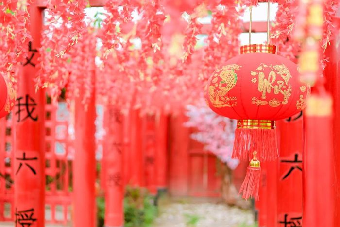 Hãy chuẩn bị đồ và ghé thăm ngay Phim trường Bách Nhật Hoa Viên Tiền Giang, nơi đẹp như trong mơ!