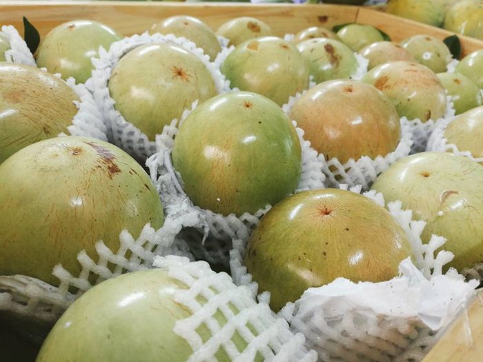 Khám phá hương vị đặc trưng của Vú sữa Lò Rèn Vĩnh Kim tại Tiền Giang