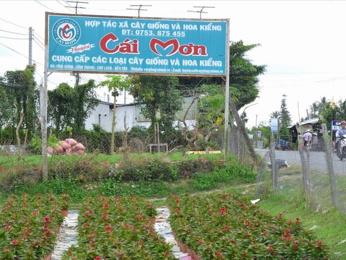 Top 7 điểm vườn trái cây gần Sài Gòn - Hương vị thơm ngon, dinh dưỡng, giá cả phải chăng không thể bỏ qua 6