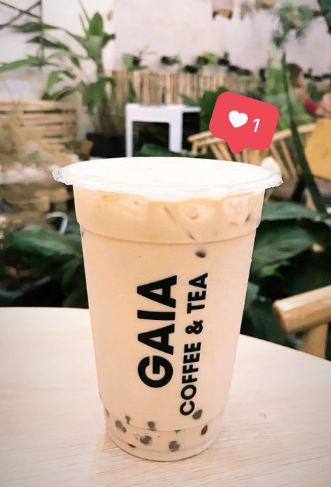 Tới GAIA Coffee & Tea để thưởng thức hương vị trà sữa đậm đà 8