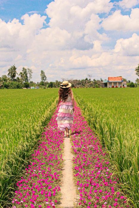 Khám phá Con đường hoa mười giờ ở Gò Công - Điểm check-in tuyệt vời 5