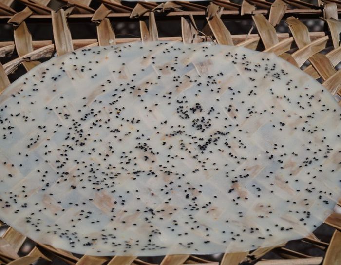 Khám phá hương vị đặc biệt của Bánh tráng nem Cù Lao Lục Sĩ, mềm mịn và thơm phức 2