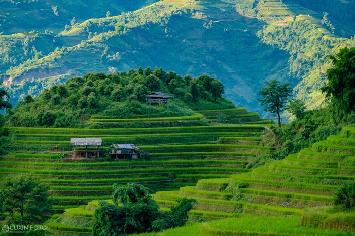 Mù Cang Chải to lớn và thơ mộng trên vùng cao Yên Bái 7