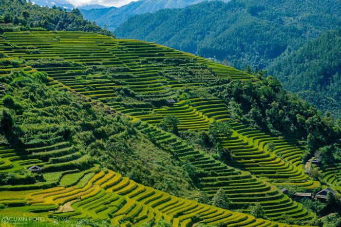 Vẻ đẹp hùng vĩ và thơ mộng của Mù Cang Chải trên vùng cao Yên Bái 5