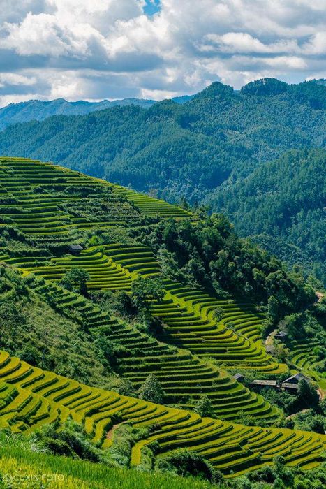 Mù Cang Chải to lớn và thơ mộng trên vùng cao Yên Bái 6