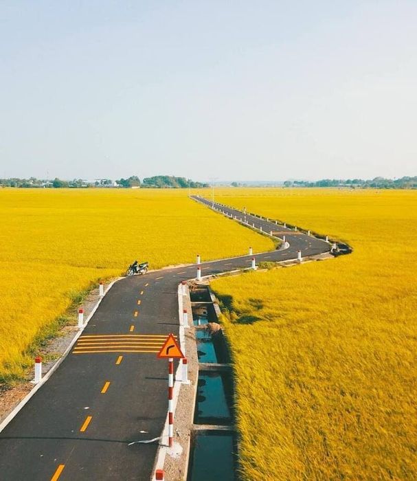 Hương thơm của đồng quê trong Cánh đồng An Nhứt đã làm nổi tiếng Vũng Tàu