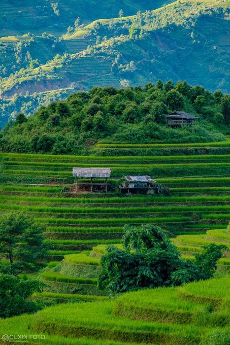 Vẻ đẹp hùng vĩ và thơ mộng của Mù Cang Chải trên vùng cao Yên Bái 4