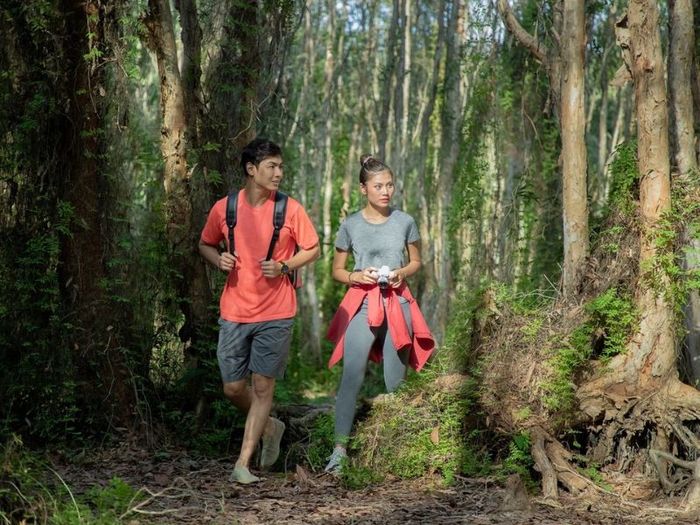 Rừng quốc gia Bình Châu, vẻ đẹp của khu rừng nguyên sinh ven biển