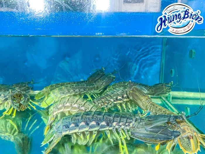 Quán Ăn Hùng Biển 2 - điểm đến lý tưởng cho những người yêu thích hải sản