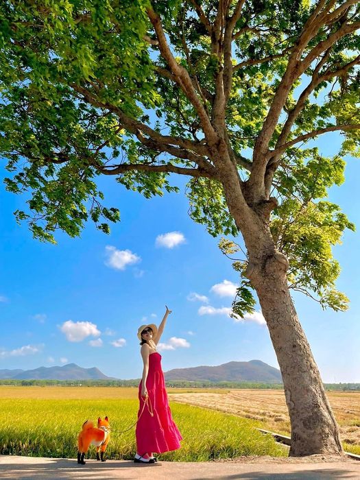 Hương thơm của đồng quê trong Cánh đồng An Nhứt đã làm nổi tiếng Vũng Tàu