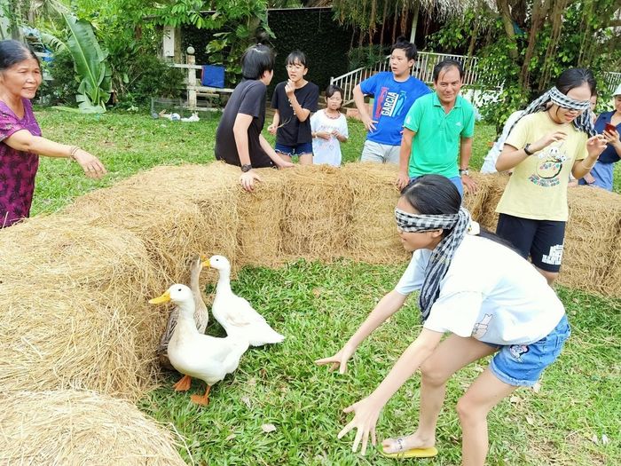Đánh giá Happy Farm Tiền Giang với không khí như ở nhà 7