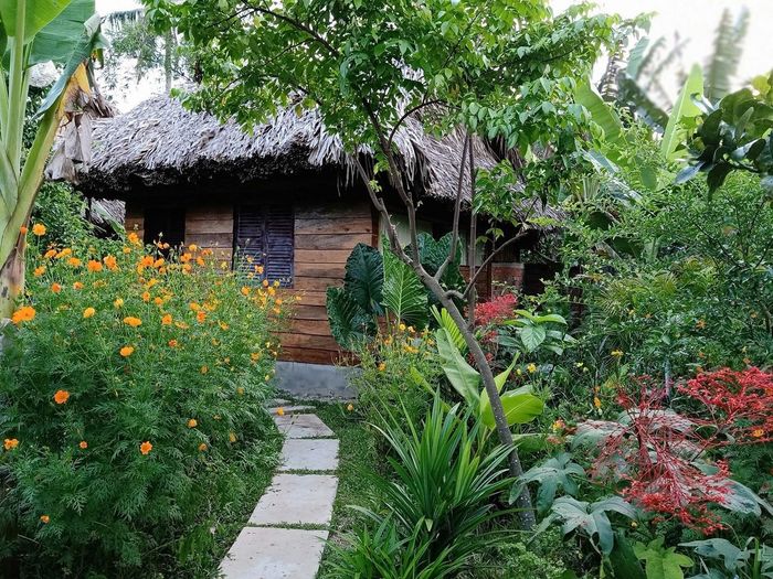 Đánh giá Happy Farm Tiền Giang với không khí như ở nhà 3