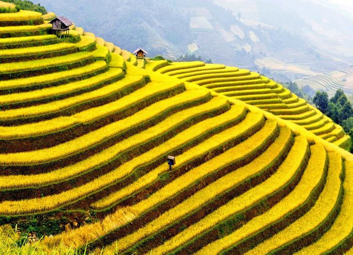 Kinh nghiệm du lịch Mù Cang Chải tự túc cho người mới lần đầu 7