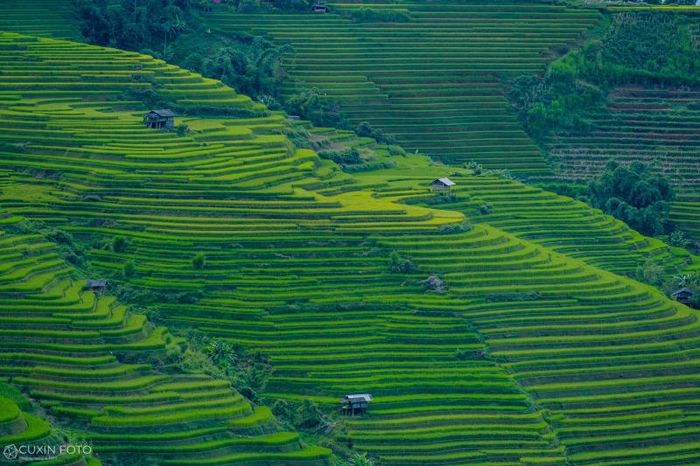 Vẻ đẹp hùng vĩ và thơ mộng của Mù Cang Chải trên vùng cao Yên Bái 2