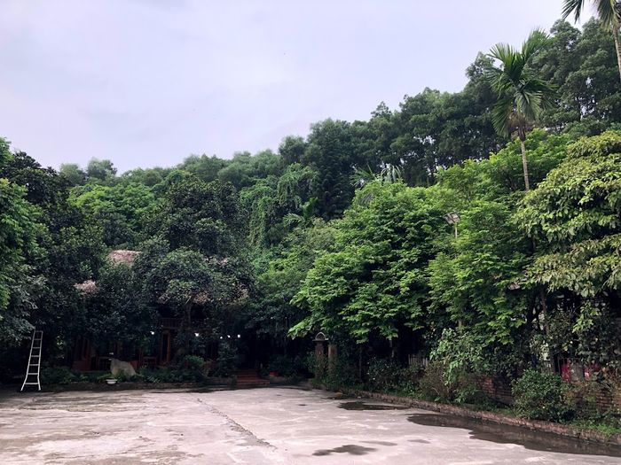 Thả mình vào không gian ẩm thực ấm áp, thoải mái tại Nhà hàng Tây Bắc 13
