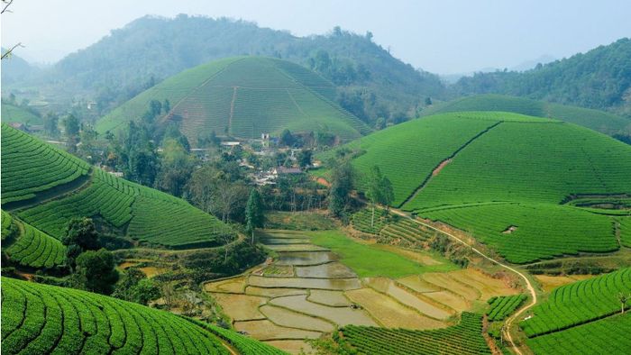 Hướng dẫn đến Suối Giàng - Nơi sống ảo đẹp không cưỡng lại