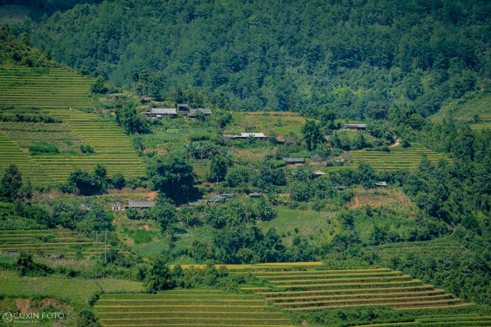 Vẻ đẹp hùng vĩ và thơ mộng của Mù Cang Chải trên vùng cao Yên Bái 3