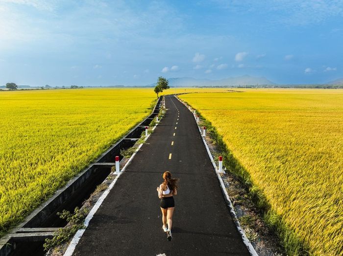 Mùi thơm của đồng quê trong Cánh đồng An Nhứt đã làm nổi tiếng Vũng Tàu