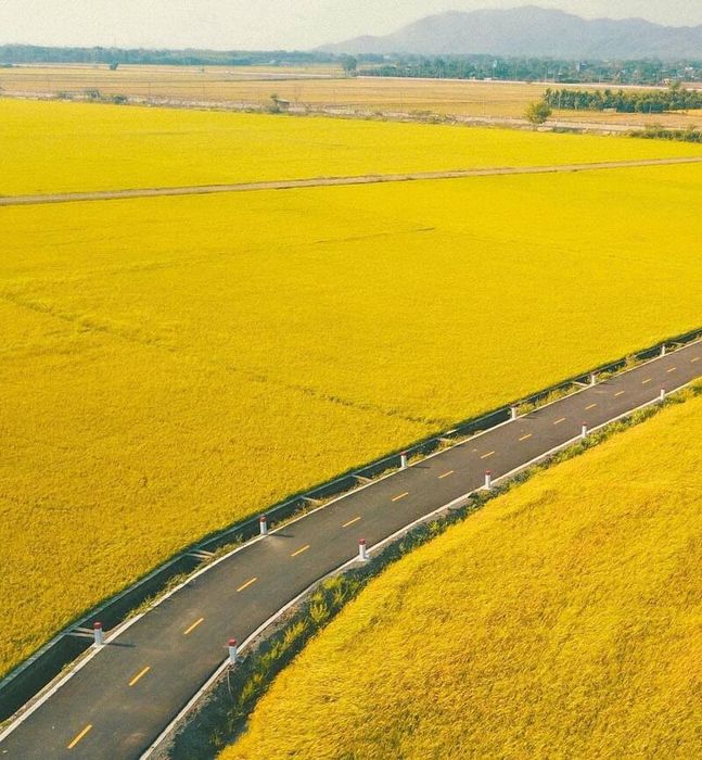 Hương thơm của đồng quê trong Cánh đồng An Nhứt đã làm nổi tiếng Vũng Tàu