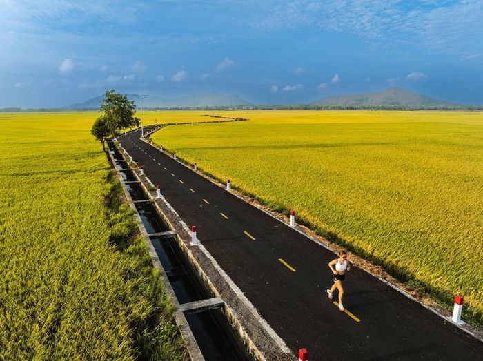 Hương thơm của đồng quê trong Cánh đồng An Nhứt đã làm nổi tiếng Vũng Tàu