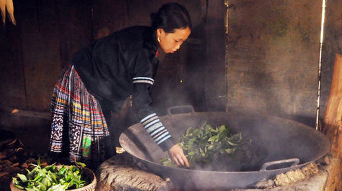 Thưởng ly Chè Shan Tuyết Hà Giang trong một ngày se lạnh 7