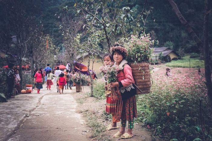 Hướng dẫn đi Hà Giang từ Hà Nội chi tiết cùng Mytour.vn lần 7