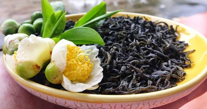 Thưởng tách Chè Shan Tuyết Hà Giang trong một ngày se lạnh 8